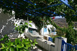 Grèce