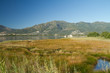 etang de biguglia en corse