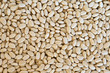 White Beans