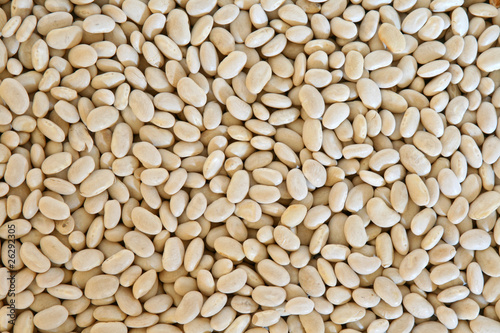 Photo: White Beans White Beans