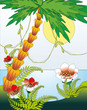 tropical  landscape