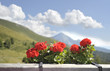 Piccolo giardino Piccolo giardino
