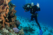 scuba divers give OK sign