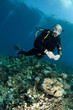 scuba diver