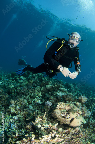 Photo: scuba diver scuba diver
