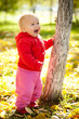 young cheerful baby walk under trees in park young cheerful baby walk under trees in park