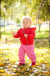 young cheerful baby play with wooden brench under trees in park young cheerful baby play with wooden brench under trees in park