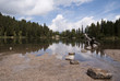 lake with forest