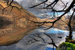 Llyn Gwynant reflections Llyn Gwynant reflections