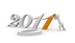 Neujahr 2010/2011