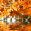 Autumn leaves reflecting in the water.