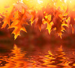 Autumn leaves reflecting in the water
