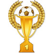 fussballpokal