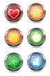 colorful glossy icons colorful glossy icons