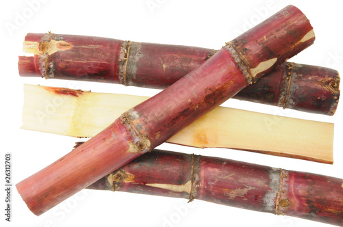 Photo: Maroon Color Sugarcane On White background Maroon Color Sugarcane On White background