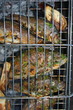 Grilled European carps