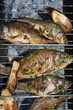Grilled European carps