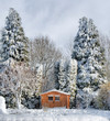 Paysage neigeux