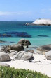 Afrique_du_Sud