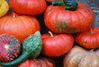 zucca