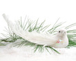 Christmas Dove