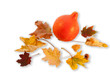 Autumn Decoration - Pumpkin And Leaves