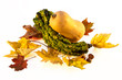 Autumn Decoration - Pumpkin And Leaves