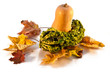 Autumn Decoration - Pumpkin And Leaves