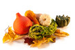 Autumn Decoration - Pumpkin And Leaves