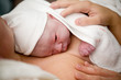 Foto: Newborn baby girl Newborn baby girl