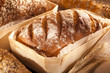Brotsorten