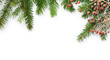 winter frame