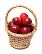 Photo: basket with red apples basket with red apples