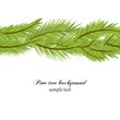 Pine tree seamless background