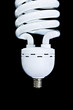 low energy lightbulb on black