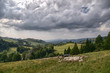 Pieniny Mountains