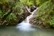Mountain stream