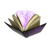 The Sorcerers Book