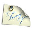 I' m leaving you over white background - divorce concept