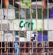 Window with lots of small galeses and prison bars