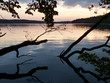 Waldsee im Abendlicht