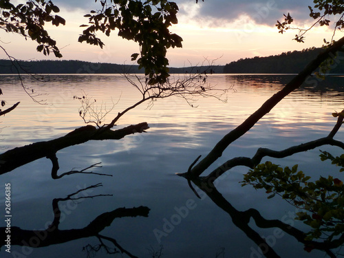 Foto: Waldsee im Abendlicht Waldsee im Abendlicht