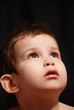 Portrait of the little boy