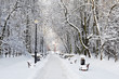 Winter park with red benches covered with snow Winter park with red benches covered with snow