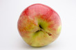 Pomme