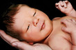 Photo: Newborn Portrait Newborn Portrait