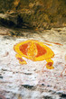 Aboriginal rocks