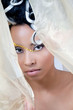 Beautiful young bride looking through veil