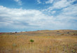 Eastern Washington steppe Eastern Washington steppe