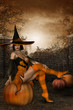 Witch Sitting on Pumpkin With Background